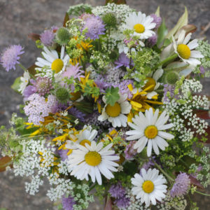 Wiesenblumenstrauß 'impressionistisch' Wiesenblumenstrauß 'impressionistisch'